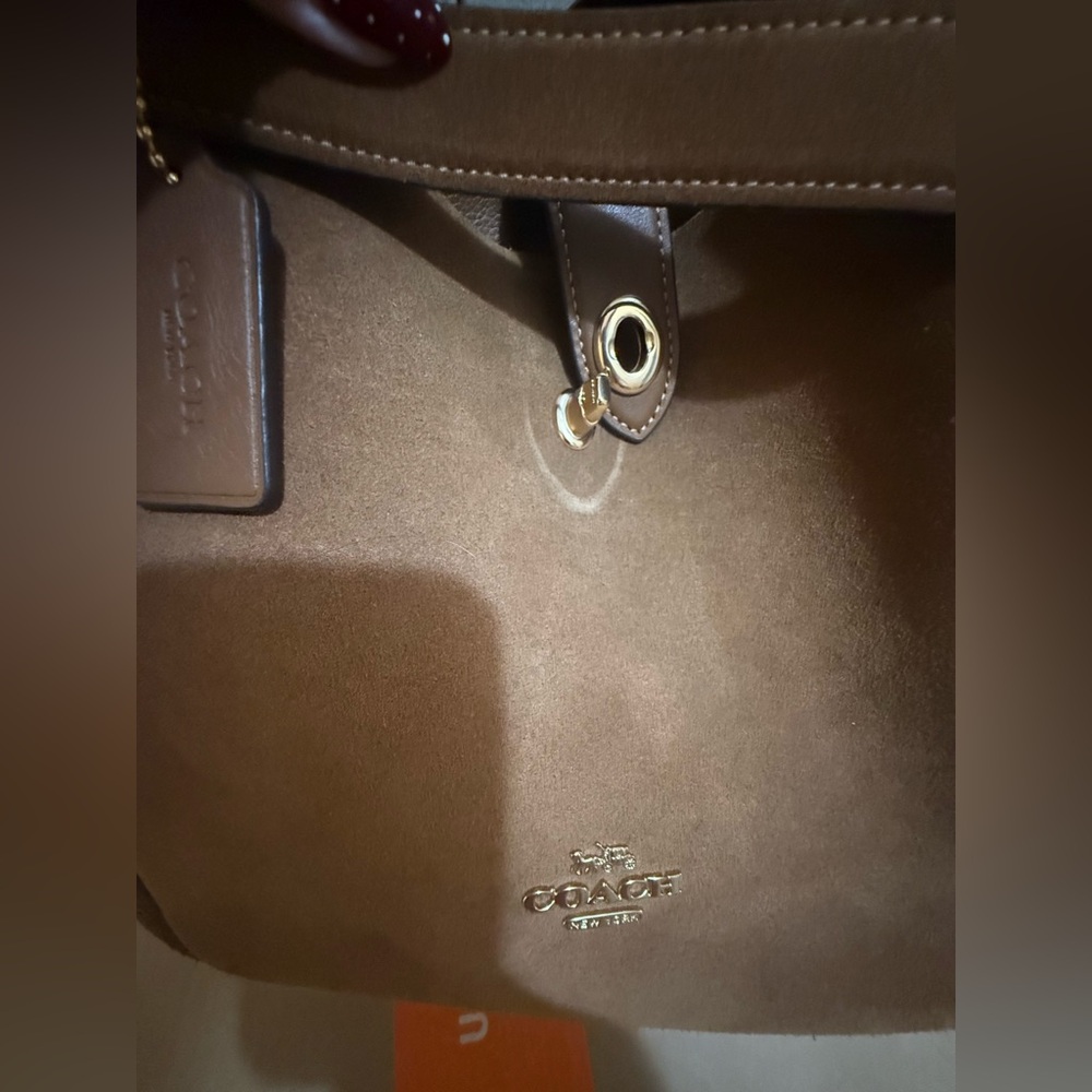 Coach Suede Sienna Hadley Crossbody - Picture 9 of 16